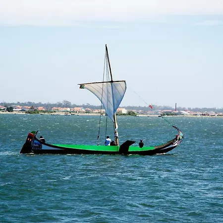 Sailing